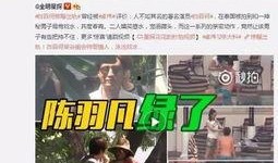平顶山最新爆料出轨女子,真相揭露，道德沦丧引发社会热议