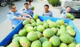 常德网红吃瓜群微信,揭秘网络社交圈的趣味与争议